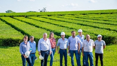 Morales reivindic&oacute; la cultura del trabajo y el esfuerzo junto a productores de t&eacute;