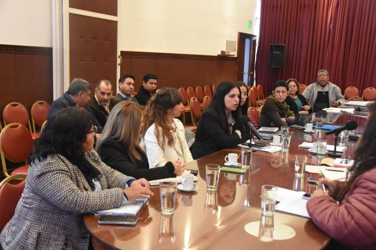 La Comisi&oacute;n de Educaci&oacute;n recibi&oacute; informe sobre avances en la regularizaci&oacute;n de t&iacute;tulos educativos