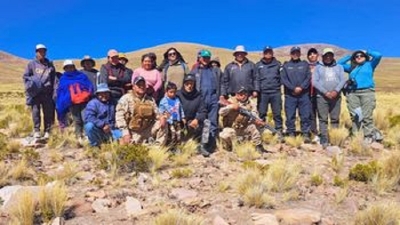 Se refuerzan las acciones contra la caza furtiva de vicu&ntilde;as en la Puna juje&ntilde;a