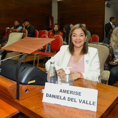 Amerise: &ldquo;Los K y la Izquierda intentaron hacer caer la reforma por intereses pol&iacute;ticos&rdquo;