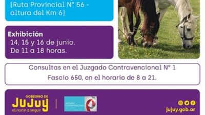 Subasta P&uacute;blica Contravencional