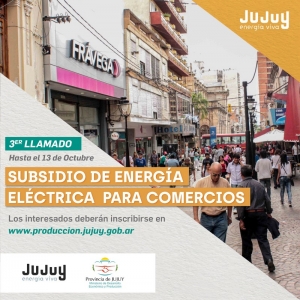 Subsidio de energ&iacute;a el&eacute;ctrica para comerciantes y gastron&oacute;micos