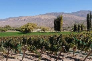 Enoturismo en Jujuy: se realiz&oacute; la jornada "De la Vid a la Experiencia" con foco en bodegas