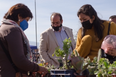Con gran &eacute;xito se desarroll&oacute; el primer &ldquo;Mercado de Flores de Corte&rdquo; en Palpal&aacute;