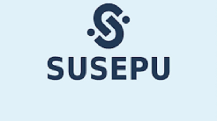 La Susepu explica los cambios en los subsidios nacionales y su impacto en la factura el&eacute;ctrica