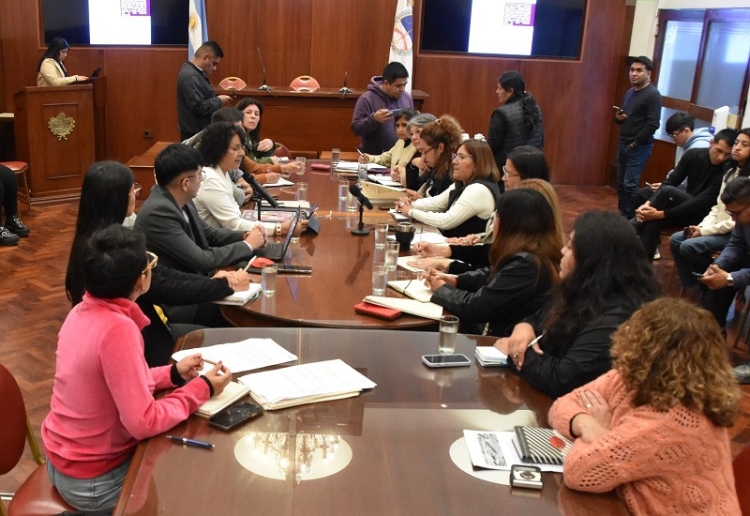 El Consejo Provincial de la Mujer present&oacute; su informe