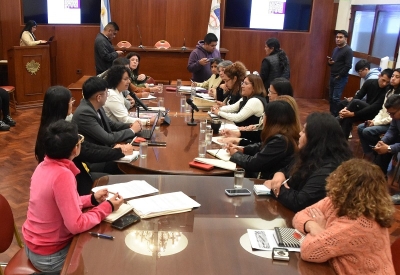 El Consejo Provincial de la Mujer present&oacute; su informe
