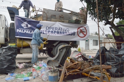 Se inician acciones para combatir el dengue en Palpal&aacute;