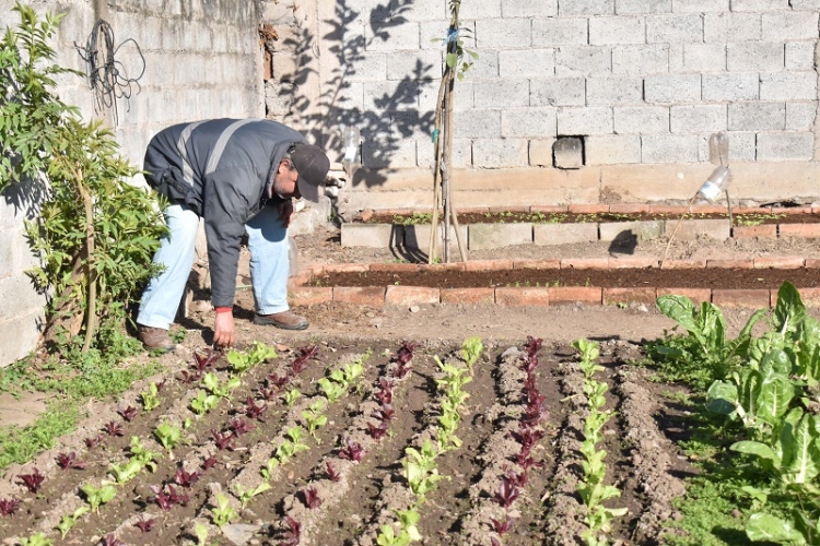 Taller gratuito de autoproducci&oacute;n de semillas en Palpal&aacute;