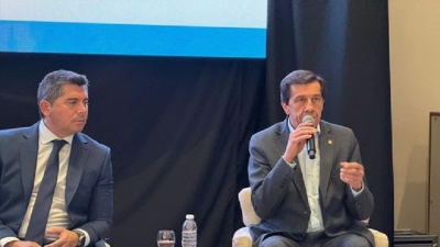 Sadir present&oacute; el potencial minero y la energ&iacute;a renovable de Jujuy en la Cumbre de Minerales Cr&iacute;ticos 2025
