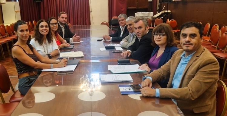 Se reuni&oacute; la Comisi&oacute;n de Cultura y Turismo de la Legislatura de Jujuy y diagram&oacute; su agenda de trabajo