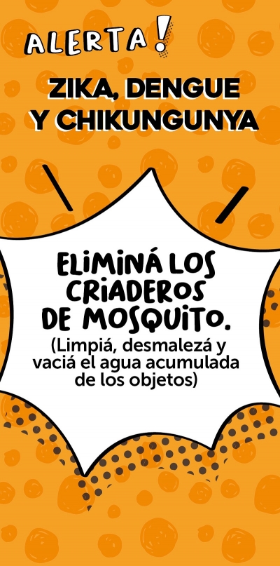 Dengue: elimin&aacute; todos los criaderos de mosquitos