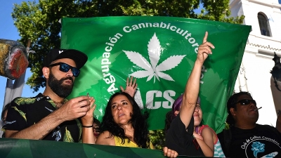 Cultivadores y activistas reclamaron la despenalizaci&oacute;n de la marihuana