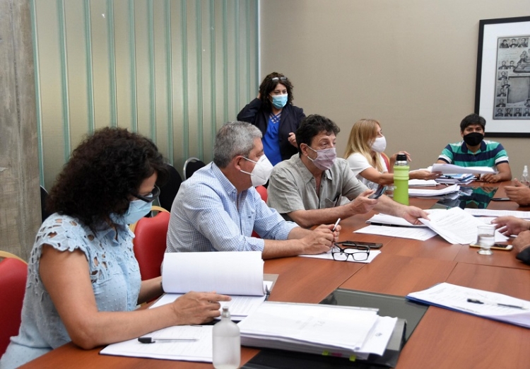 La comisi&oacute;n de asuntos institucionales contin&uacute;a analizando el proyecto de ley de emergencia