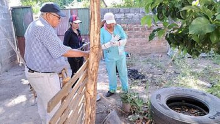 No se reportaron casos de dengue en las &uacute;ltimas dos semanas