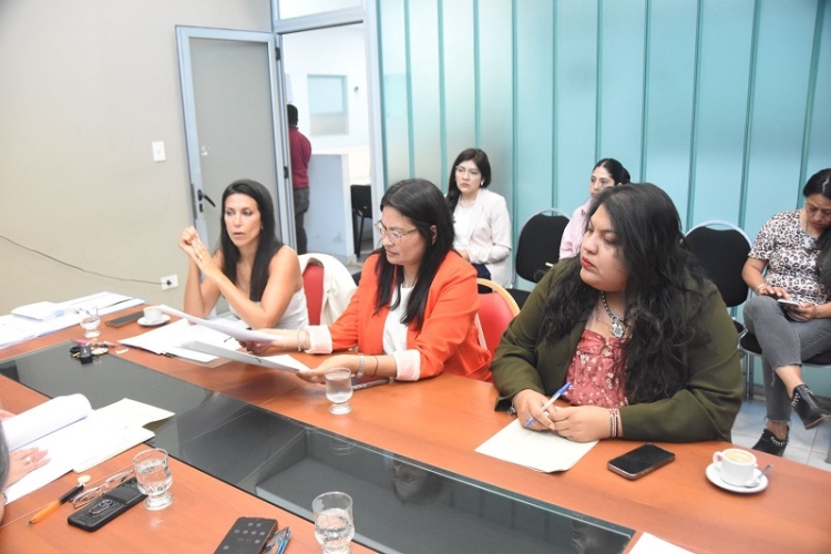 La Comisi&oacute;n de Asuntos Sociales emiti&oacute; despacho para proyecto de actualizaci&oacute;n de la Ley del Colegio de Trabajadores Sociales