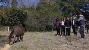 Sadir visit&oacute; el Centro de Atenci&oacute;n de la Fauna Aut&oacute;ctona