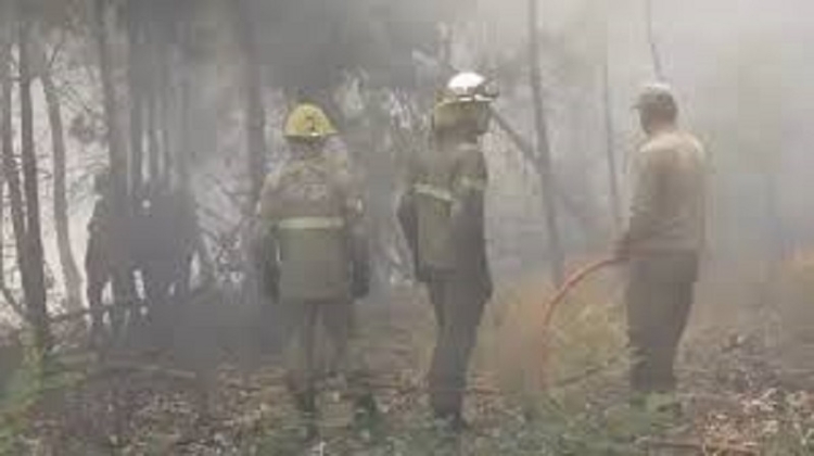 Ya se quemaron casi cien hect&aacute;reas un por incendio forestal en Epuy&eacute;n