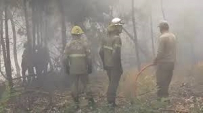 Ya se quemaron casi cien hect&aacute;reas un por incendio forestal en Epuy&eacute;n
