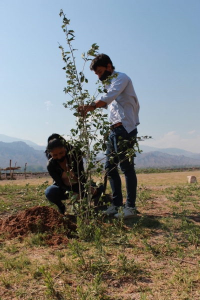 Plan Estrat&eacute;gico Forestal en la Quebrada