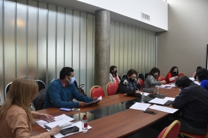 Organizaciones y ongs  podr&aacute;n hacer sus aportes para la elaboraci&oacute;n de la ley de emergencia en materia de violencia de g&eacute;nero.