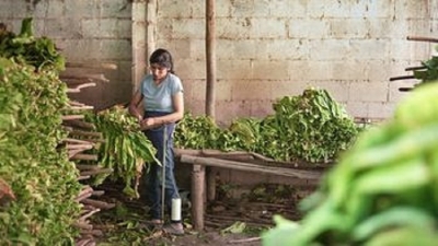 Las producciones juje&ntilde;as se afianzan en la 8va edici&oacute;n del Festival Internacional de Cine de las Alturas
