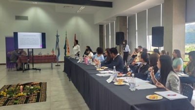 Jornada Interministerial sobre Pol&iacute;ticas P&uacute;blicas para Pueblos Ind&iacute;genas