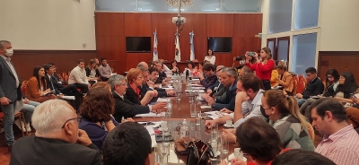 La legislatura avanza en el tratamiento de la reforma parcial de la constituci&oacute;n