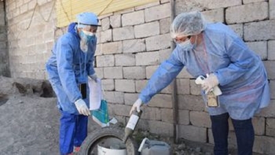 Los huevos del mosquito transmisor del dengue persisten intactos con bajas temperaturas