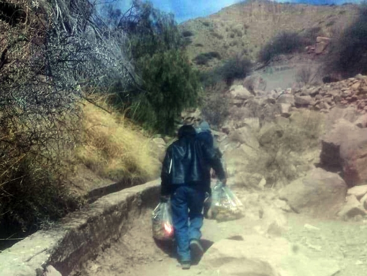 Unidades Alimentarias para familias de Yavi