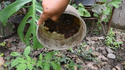 Se refuerza el trabajo intersectorial frente al dengue