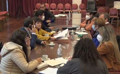 La Comisi&oacute;n de Cultura y Turismo avanza con el proyecto de ley sobre el "d&iacute;a la mujer juje&ntilde;a"