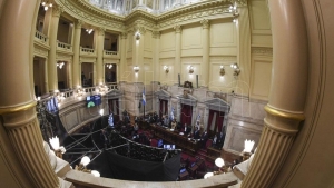 Sin la oposici&oacute;n, el Senado aval&oacute; decretos de Alberto Fern&aacute;ndez para aplacar los efectos del Covid19