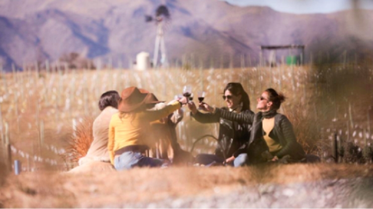 Vinos juje&ntilde;os de altura estar&aacute;n en las Jornadas Nacionales de Enoturismo