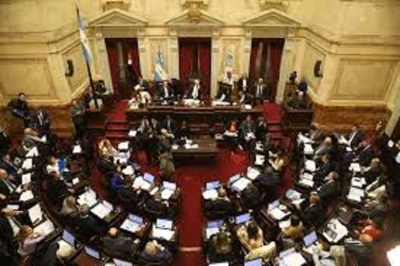 El Senado aprob&oacute; en general la Boleta &Uacute;nica de Papel y el proyecto vuelve a Diputados