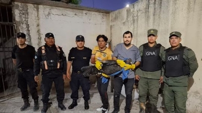 Ambiente env&iacute;a un ejemplar de c&oacute;ndor andino a Bs. As., para garantizar su recuperaci&oacute;n