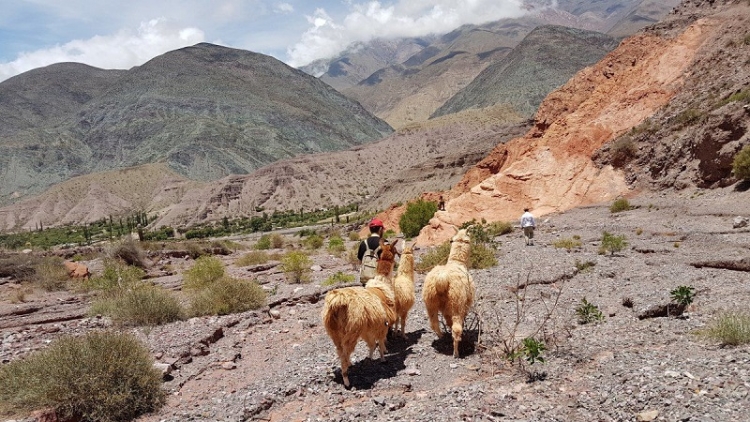 Fin de semana con gran movimiento tur&iacute;stico en Jujuy