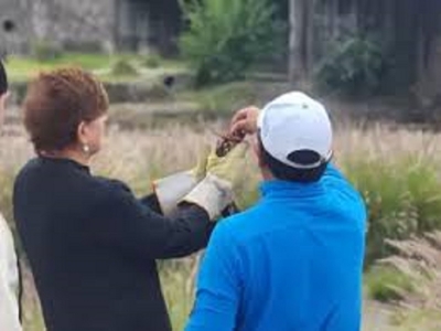 Liberaci&oacute;n de fauna silvestre en el Parque Lineal Xibi Xibi