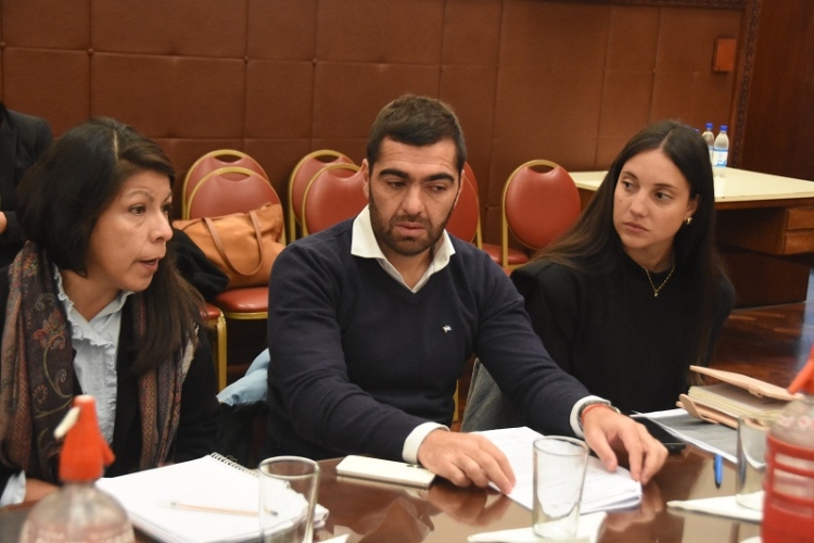 La Legislatura avanza en un proyecto de ley para regular la Equinoterapia en Jujuy