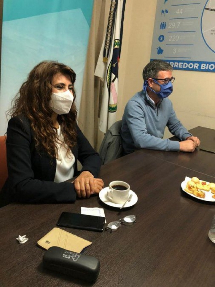 Reuni&oacute;n virtual de la Zona de Integraci&oacute;n del Centro Oeste de Am&eacute;rica del Sur - ZICOSUR