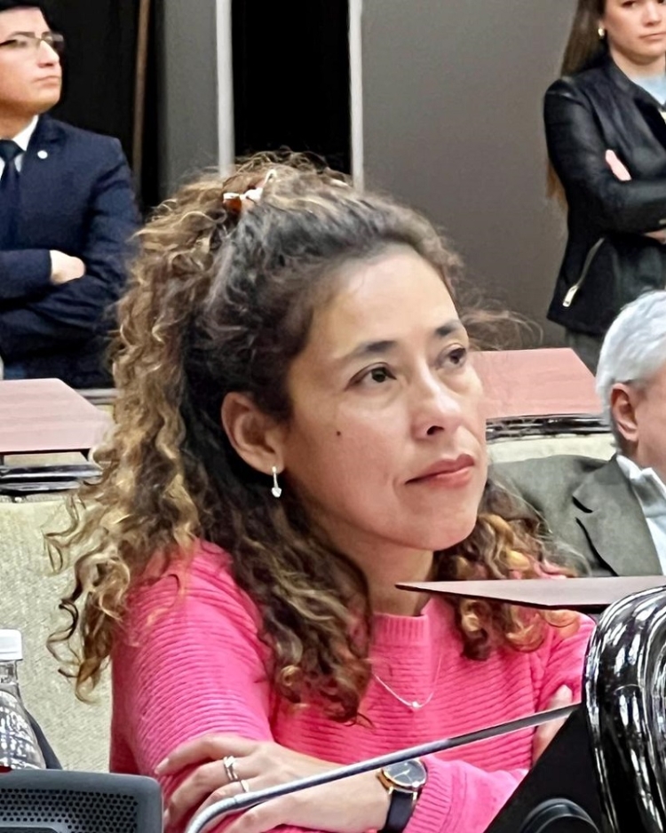 &ldquo;Nada hizo An&iacute;bal Fern&aacute;ndez por las familias juje&ntilde;as rehenes de metodolog&iacute;as violentas&rdquo;