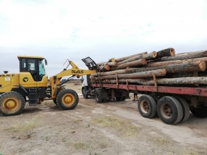 Decomiso de madera en caimancito