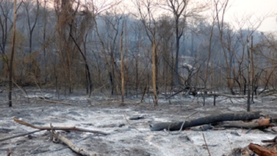 Incendio Forestal en las Yungas, ampliar&aacute;n las horas de trabajo
