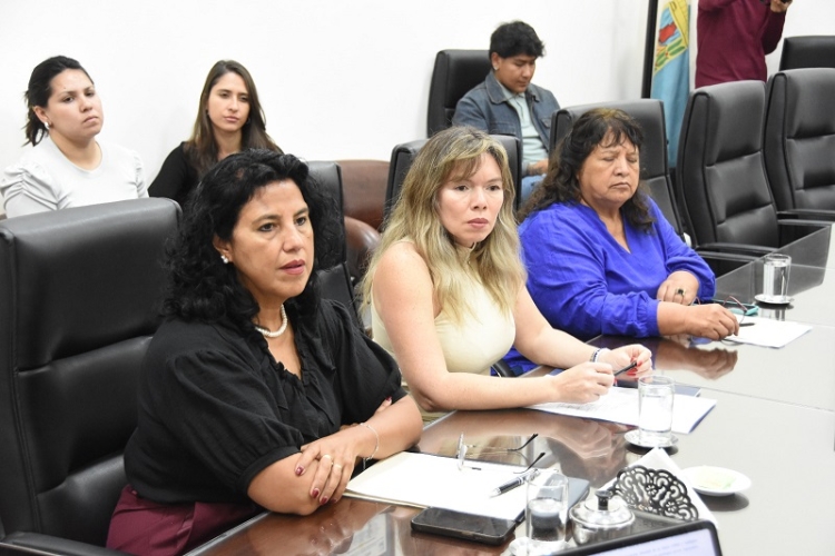 La Comisi&oacute;n de Ambiente analiz&oacute; un proyecto sobre contaminaci&oacute;n ac&uacute;stica