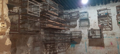 24 aves son rescatadas en San Salvador de Jujuy