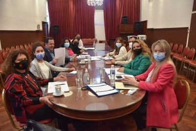 La comisi&oacute;n de ambiente inicia el tratamiento del proyecto de generaci&oacute;n de hidr&oacute;geno verde