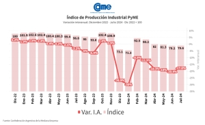 La industria pyme cay&oacute; 17,8% anual en julio