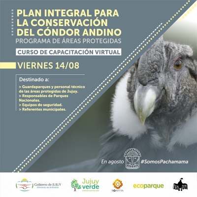 Conservaci&oacute;n del c&oacute;ndor andino en Jujuy
