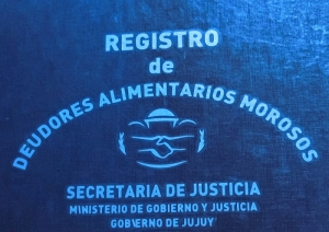 El Registro Provincial de Deudores Alimentarios Morosos reanuda su atenci&oacute;n presencial