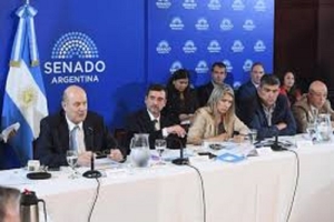 Choque en el Senado: peronistas y Sturzenegger polemizaron sobre la pol&iacute;tica econ&oacute;mica
